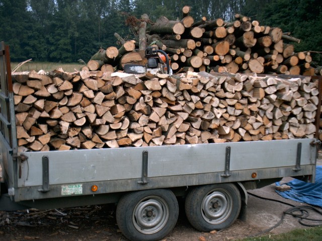 Luik lont hoog Brandhout